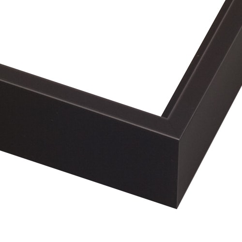 CF5 - CF5 - Large Canvas Floater - Black